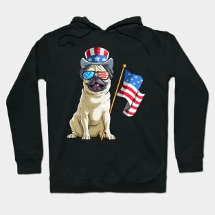 Pug 4th of July Funny Gift Hoodie